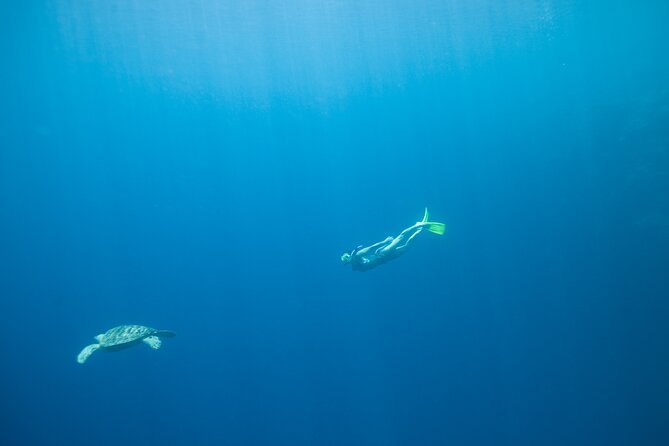Private Snorkeling Experience in Aqaba Red Sea - Getting fitted with snorkeling equipment