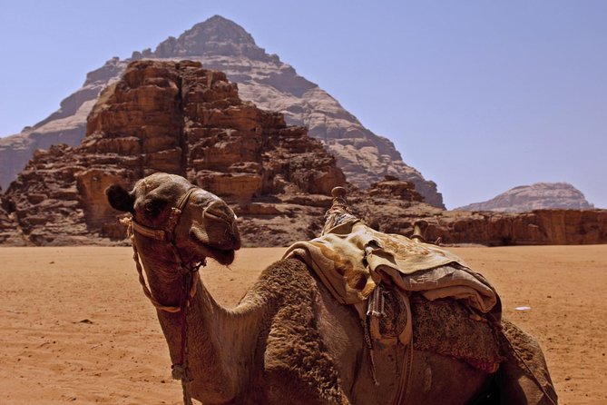 Private Tour of Wadi Rum Star Wars from Aqaba - Is $146.67 per person good value?