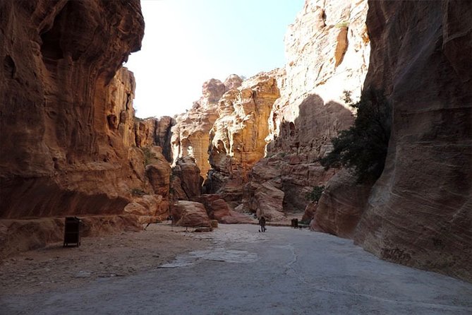 Private Tour: Petra and Little Petra Day Trip from Aqaba - Guides, tips, and extra charges