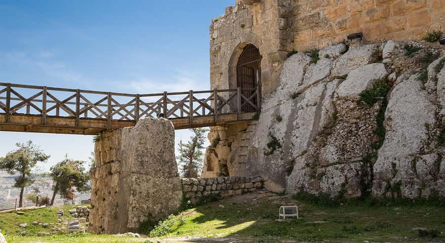 Private Tour to Jerash and Ajloun from Amman - Who Will Like This Private Jordan Day Tour