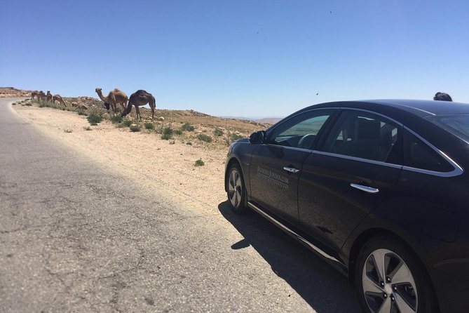 Private Transfer from Amman to Petra, Wadi Musa - WiFi, Water, and the Small Comforts