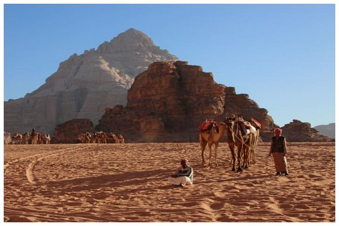 Private transfer Petra to/from Wadi Rum - What the private setup is worth