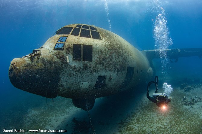 Scuba Diving for Certified Divers - Key things to know before booking
