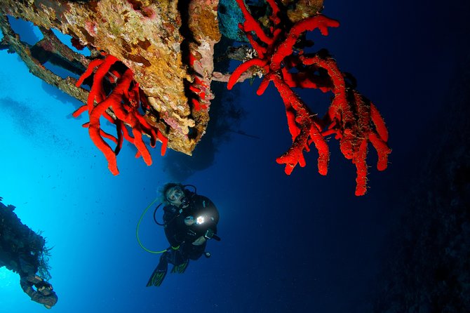 Scuba Diving for Certified Divers - Price, group size, and what you really receive