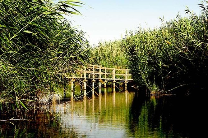 Shaumari Reserve and Azraq Wetland Private Full Day Tour from Amman - The long drive from Amman to the Azraq Basin