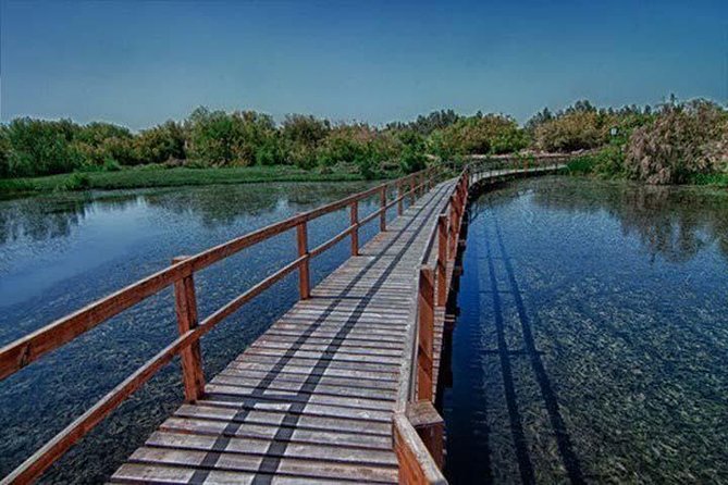Shaumari Reserve and Azraq Wetland Private Full Day Tour from Amman - The Azraq Wetland trail and its blue pools