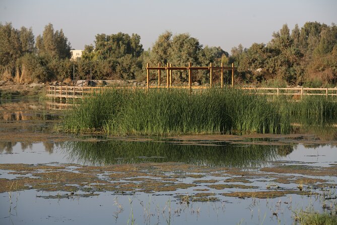 Shaumari Reserve and Azraq Wetland Private Full Day Tour from Amman - Who should book this tour?