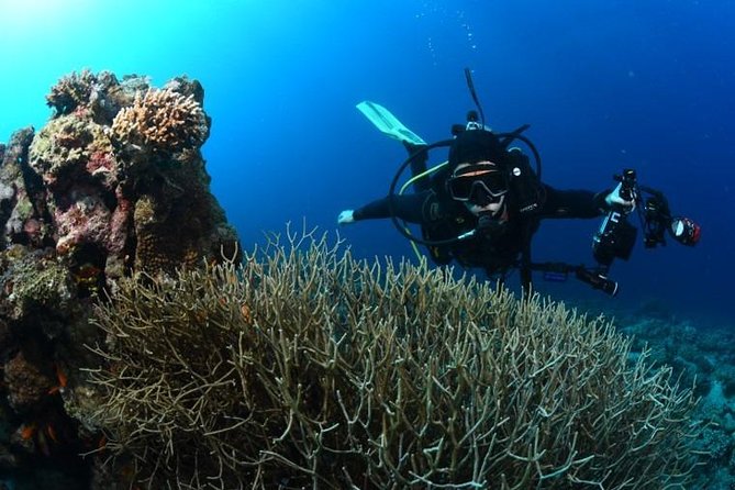 Shore Certified Diving - Two Dives - Full equipment and how it affects the value