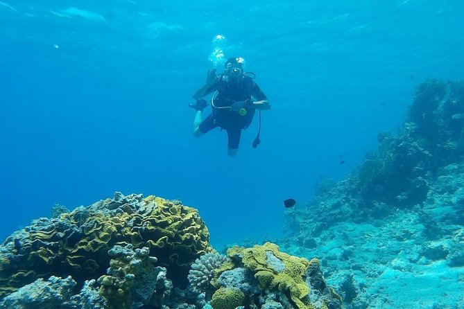 Shore Discover SCUBA Diving/Introductory Diving - One Dive - Learning the basics before entering the water