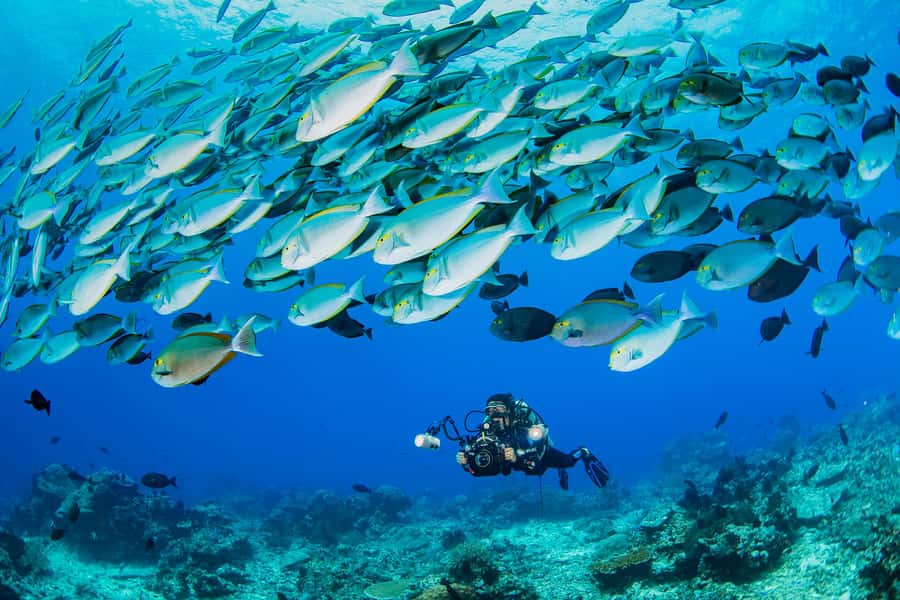 shore dive in red sea with pick up & snacks - Entering the Gulf of Aqaba from the beach
