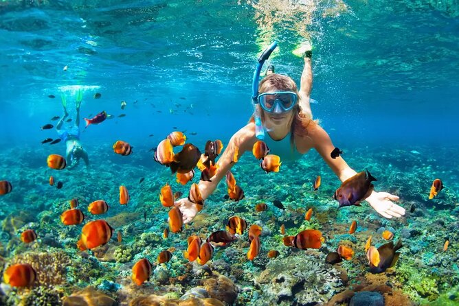Snorkeling Activity in Aqaba with Lunch and Transportation (Boat) - Weather, cancellation, and useful planning details