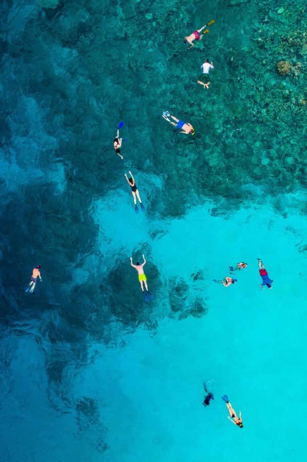 Snorkeling in The Red Sea With Equipment And Free Transfer - The guide question: strong personal service, uneven support