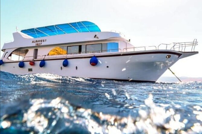 Take advantage of a half-day boat dive experience in Red sea of Aqaba. - Cruising From Ayla To The Red Sea Site