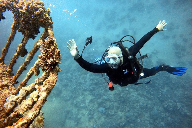 Take advantage of a half-day boat dive experience in Red sea of Aqaba. - High-Resolution Photos Make The Price Easier To Judge