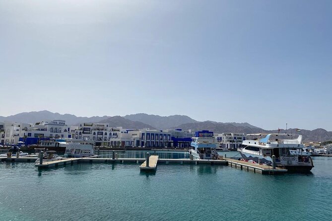 Take advantage of a half-day boat dive experience in Red sea of Aqaba. - Safety And Medical Rules Matter Here