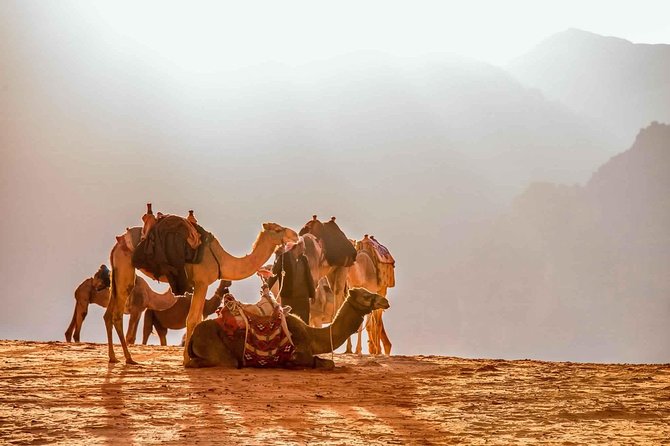 Treasures of Jordan Tour-7 Days Discover Petra & Dead Sea & Wadi Rum with Hotels - Wadi Rum by jeep and one night under the stars