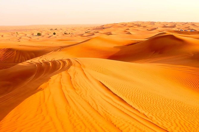 Treasures of Jordan Tour-7 Days Discover Petra & Dead Sea & Wadi Rum with Hotels - A free day in Amman that actually helps