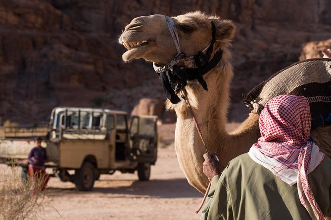 Two-Hour Jeep Safari "Wadi Rum Highlights!" w/ Professional Guide - Why this short Wadi Rum tour works