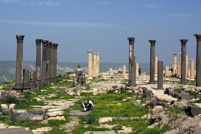Umm Qais, Ajloun and Jerash Full-Day Tour from Amman - Three hours among the ruins of Jerash