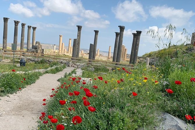 Umm Qais, Jerash & Ajloun Castle Day Tour from Amman - Ajloun Castle and Saladin’s hilltop fortress