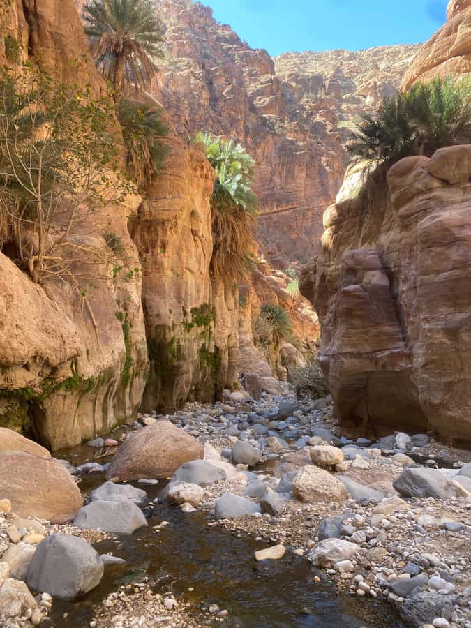 Wadi Ghuweir Full-Day Hike with Local Guide & Lunch. - Key points to know before booking