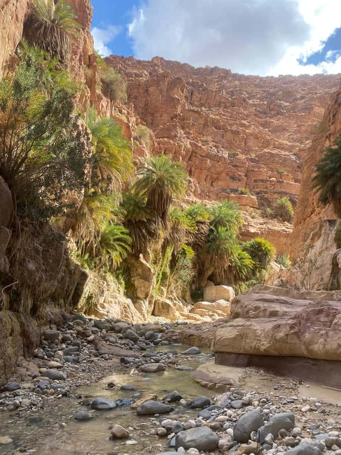 Wadi Ghuweir Full-Day Hike with Local Guide & Lunch. - What the canyon feels like underfoot