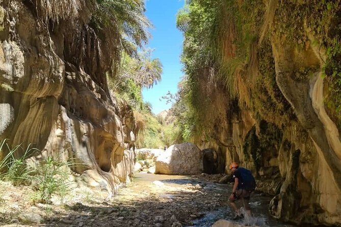 Wadi Hora and Wadi Bin Hammad Canyoning Adventure - From Amman to the canyon entrance