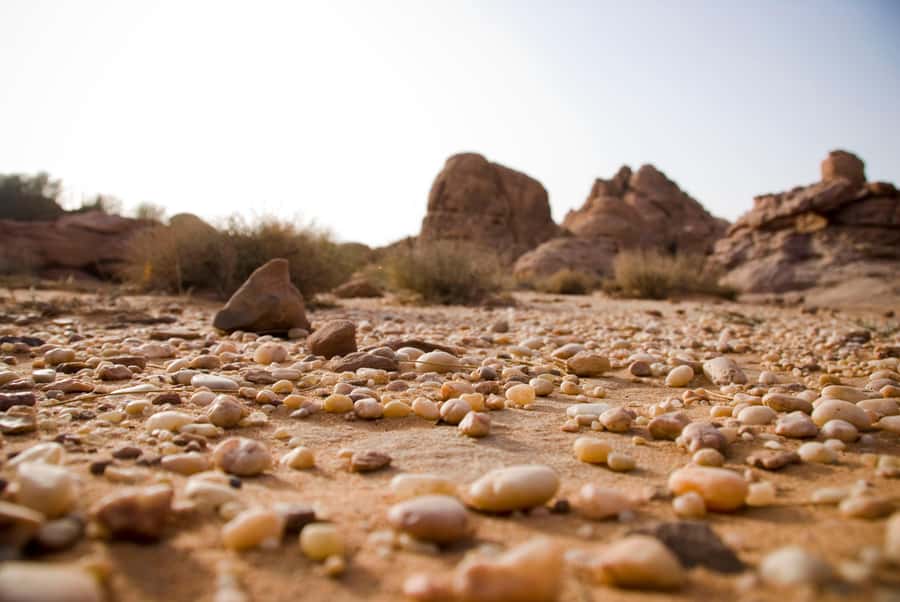 Wadi Rum: 10 Hour Jeep Tour Pass, Camel, Sandbording & Lunch - Starting from Wadi Rum Village or your camp