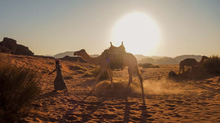 Wadi Rum: 2 Hour Camel Ride at Sunset/Sunrise Overnight - Starting at Wadi Rum Rest House