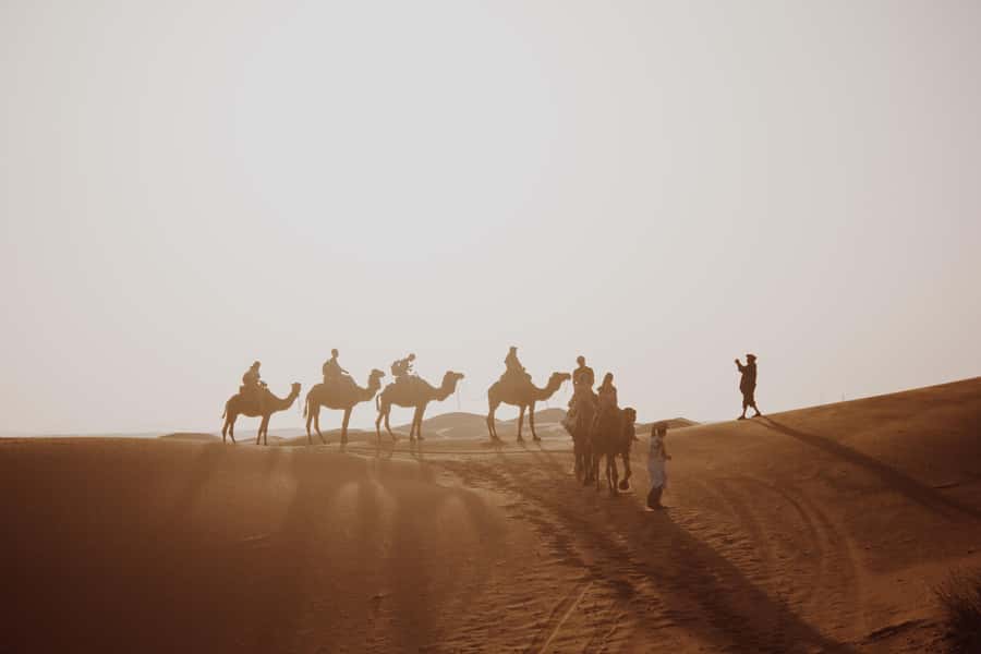 Wadi Rum: 2 Hour Camel Ride at Sunset/Sunrise Overnight - Two hours on camelback through the Valley of the Moon