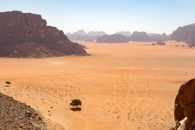 Wadi Rum: 4 Hour Highlights Tour - Crossing Wadi Rum Protected Area by 4WD