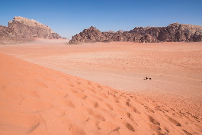 Wadi Rum: 4 Hour Highlights Tour - Morning, afternoon, or sunset timing