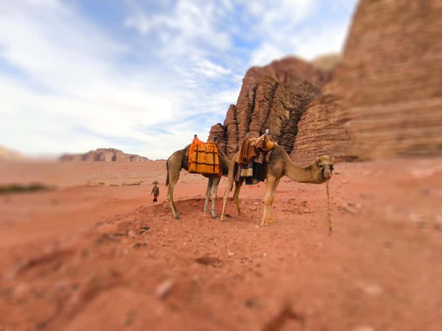 Wadi Rum: Camel Ride with tea and Bedouin Guide - Starting In Wadi Rum Village