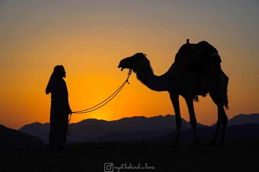 Wadi Rum: Camel Ride with tea and Bedouin Guide - One Hour On Camelback