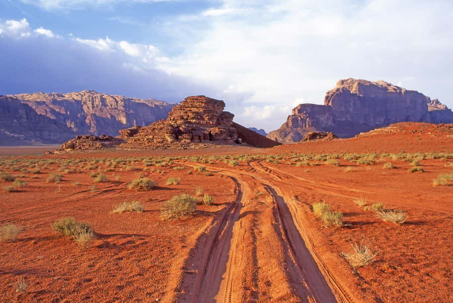 Wadi Rum: Camel Ride with tea and Bedouin Guide - Practical Tips Before You Go