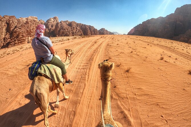 Wadi Rum: Camel Trek Adventure - Starting at Wadi Rum Rest House