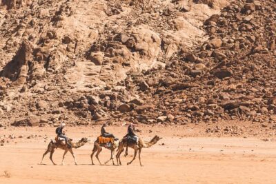Camel Trek Adventure