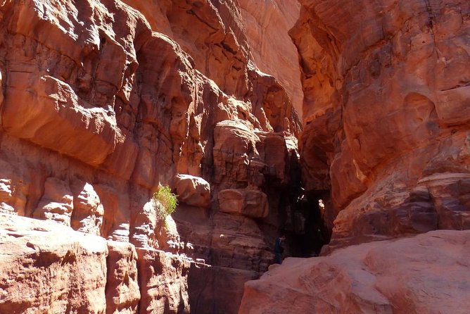 Wadi Rum: Camel Trek Adventure - Why the private format is worth considering