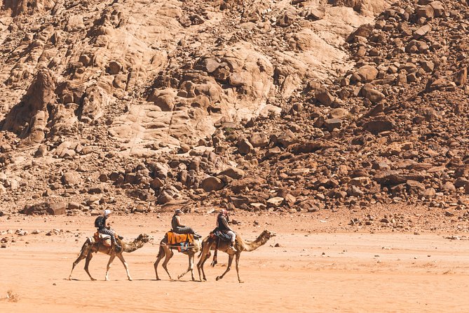 Wadi Rum: Camel Trek Adventure - Riding through Wadi Rum at camel pace