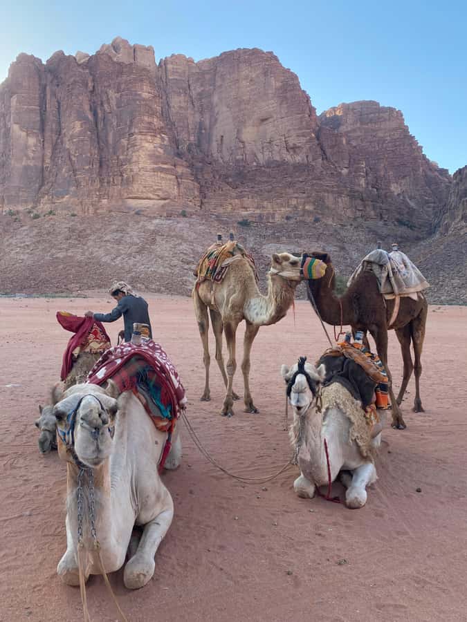 Wadi Rum Classic 4-Hour Jeep Safari - Bedouin tea and the small comforts