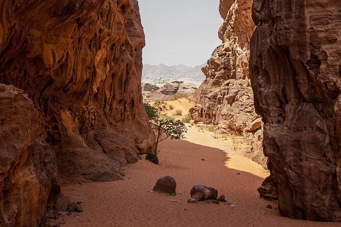 Wadi Rum Desert Tour with Lunch & Sunset - Red Sand Dune and Khazali Canyon