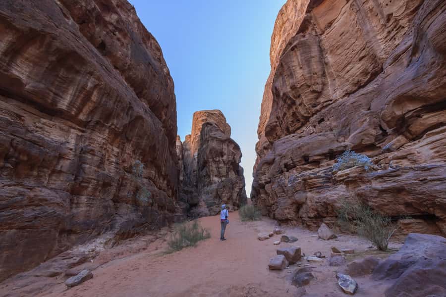 Wadi Rum: Explore 10-Hour Jeep Tour Pass, Guide, Meal & Stay - Who will enjoy this desert tour most