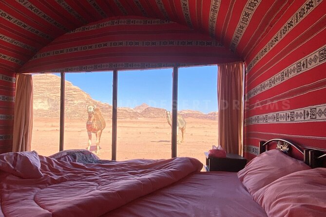 Wadi Rum Full Day Jeep Tour + Overnight & Dinner in Bedouin Camp - Little Bridge and Umm Fruth Rock Bridge