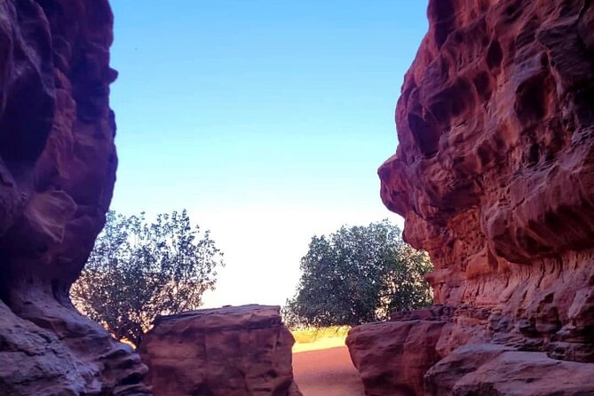Wadi Rum Full Day Jeep Tour + Overnight & Dinner in Bedouin Camp - Abu Khashaba Canyon offers a quieter walk