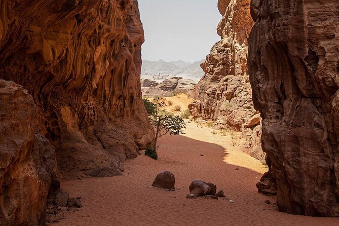 Wadi Rum Half-Day Desert Tour | Wadi Rum Desert - Khazali Canyon’s Ancient Petroglyphs